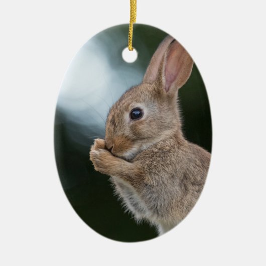 Bunny Rabbit Nature Foto Keramik Ornament (Vorne)