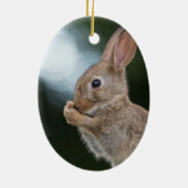 Bunny Rabbit Nature Foto Keramik Ornament (Hinten)
