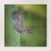 Bunny Rabbit Nature Foto Puzzle (Horizontal)