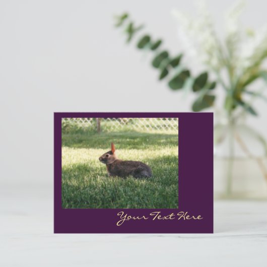 Bunny Rabbit Postcard Postkarte (Stehend Vorderseite)