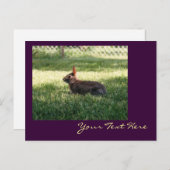 Bunny Rabbit Postcard Postkarte (Vorne/Hinten)