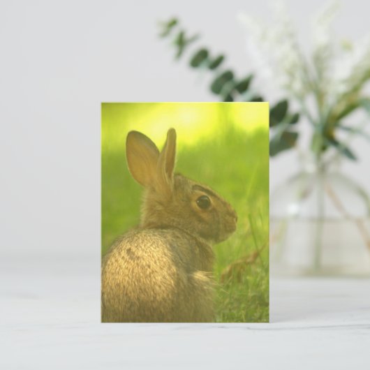 Bunny Rabbit Postcard Postkarte (Stehend Vorderseite)