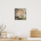 Bunny Rabbit Poster (Küche)