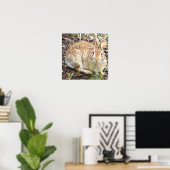 Bunny Rabbit Poster (Heimbüro)