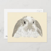 Bunny Rabbit Postkarte (Vorne/Hinten)