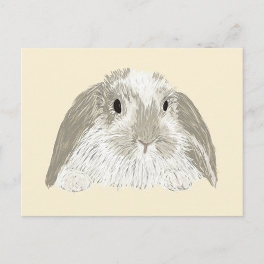 Bunny Rabbit Postkarte (Vorderseite)