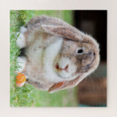 Bunny Rabbit Puzzle (Horizontal)