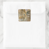Bunny Rabbit Quadratischer Aufkleber (Tasche)