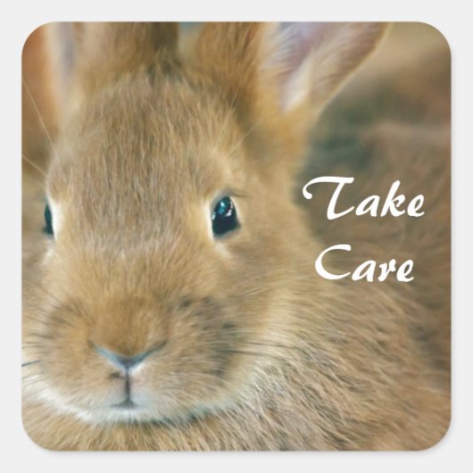 Bunny Rabbit Quadratischer Aufkleber (Vorderseite)