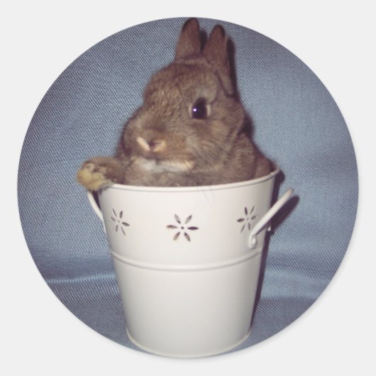 Bunny Rabbit Sticker (Vorderseite)