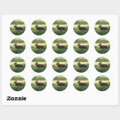 Bunny Rabbit Stickers (Blatt)