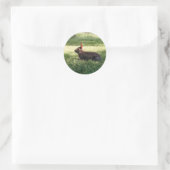 Bunny Rabbit Stickers (Tasche)