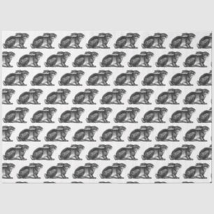 Bunny Rabbit Tissue Paper (Schwarzweiß) Seidenpapier