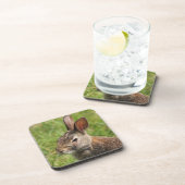 Bunny Rabbit Untersetzer (Rechte Seite)