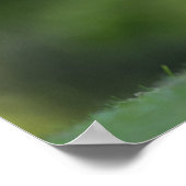 Bunny Rabbit Wildlife Foto Poster (Ecke)