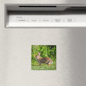Bunny Rabbit Wildlife Green Nature Square Magnet (In Situ (Geschirrspüler))