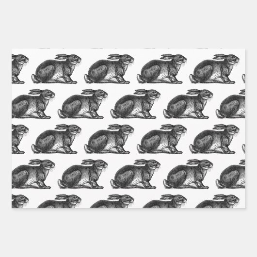 Bunny Rabbit Wrapping Paper Sheets Black & White Geschenkpapier Set (Vorderseite 3)