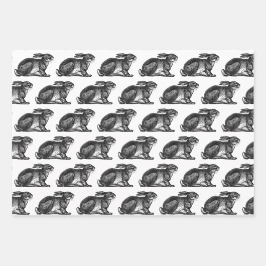 Bunny Rabbit Wrapping Paper Sheets Black & White Geschenkpapier Set (Vorderseite 2)