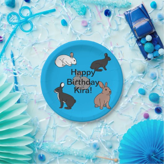 Bunny Rabbits Geburtstag Pappteller (Party)