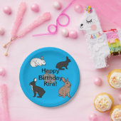 Bunny Rabbits Geburtstag Pappteller (Party)