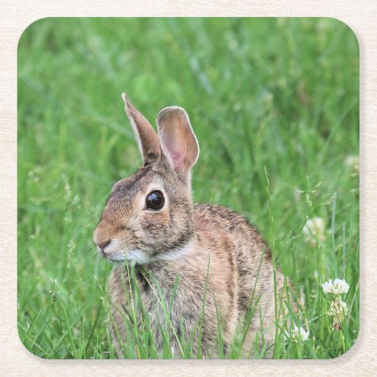 Bunny Rechteckiger Pappuntersetzer (Vorderseite)