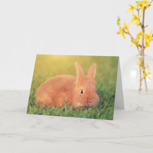 Bunny sagt Hi Karte (Gelbe Blume)