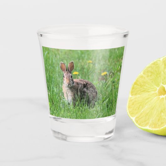 Bunny Schnapsglas (Vorderseite)
