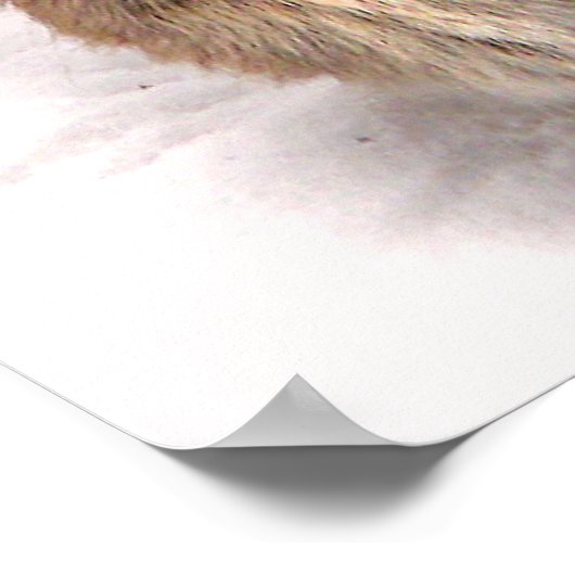 Bunny Seeking Shelter Poster (Ecke)