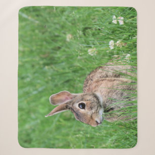 Bunny Sherpadecke