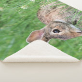 Bunny Sherpadecke (3/4)