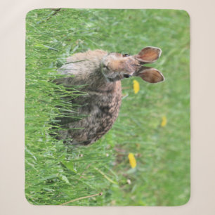 Bunny Sherpadecke