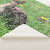 Bunny Sherpadecke (3/4)