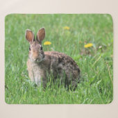 Bunny Sherpadecke (Vorderseite (Horizontal))