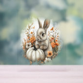 Bunny Shirt Country Pumpkin Acrylschild (Neutral)