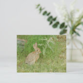 Bunny So Niedlich Postkarte (Stehend Vorderseite)