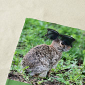 Bunny Strandtuch (Beispiel)