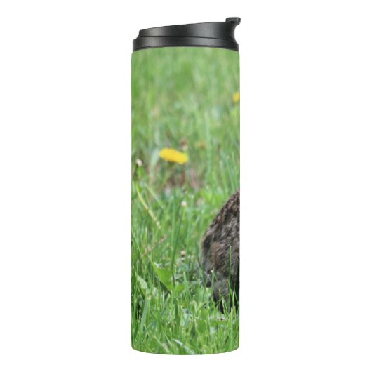 Bunny Thermosbecher (Nach links gedreht)