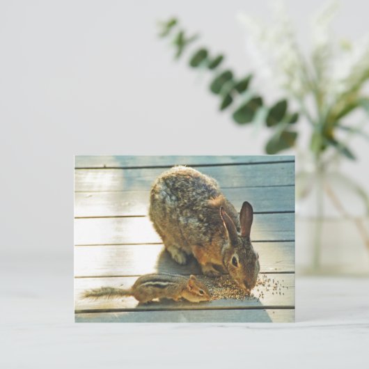 Bunny und Chipmunk Sharing Postkarte (Stehend Vorderseite)