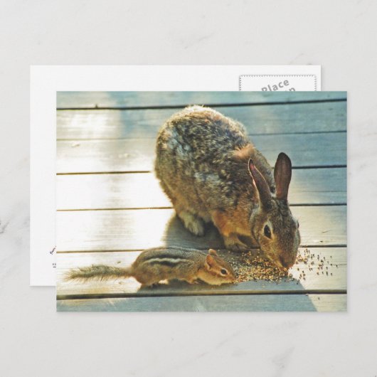 Bunny und Chipmunk Sharing Postkarte (Vorne/Hinten)