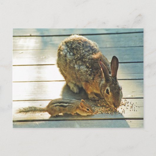 Bunny und Chipmunk Sharing Postkarte (Vorderseite)