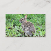 Bunny Visitenkarte (Rückseite)