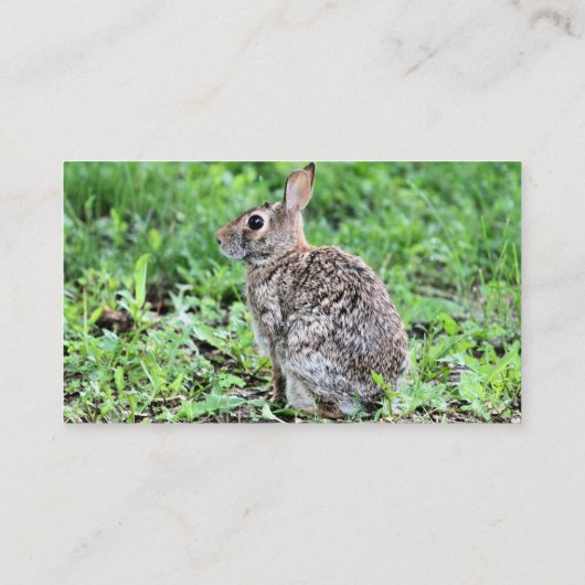 Bunny Visitenkarte (Rückseite)