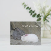 Bunny Whisperer Postkarte (Stehend Vorderseite)