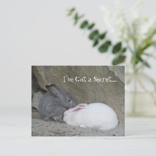 Bunny Whisperer Postkarte (Stehend Vorderseite)