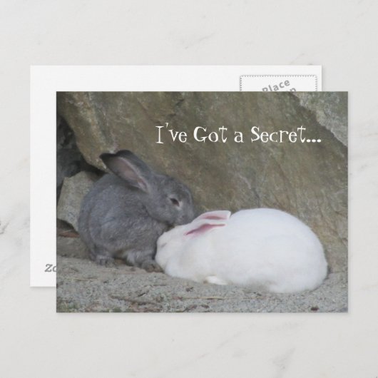 Bunny Whisperer Postkarte (Vorne/Hinten)