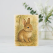Bunny Young Hare Baby Rabbit Wild Animals Postcard Postkarte (Stehend Vorderseite)