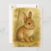 Bunny Young Hare Baby Rabbit Wild Animals Postcard Postkarte (Vorne/Hinten)