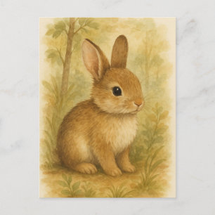 Bunny Young Hare Baby Rabbit Wild Animals Postcard Postkarte