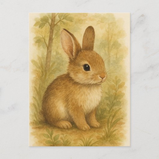 Bunny Young Hare Baby Rabbit Wild Animals Postcard Postkarte (Vorderseite)