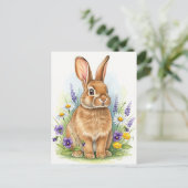 Bunny Young Hare Baby Rabbit Wild Animals Postcard Postkarte (Stehend Vorderseite)